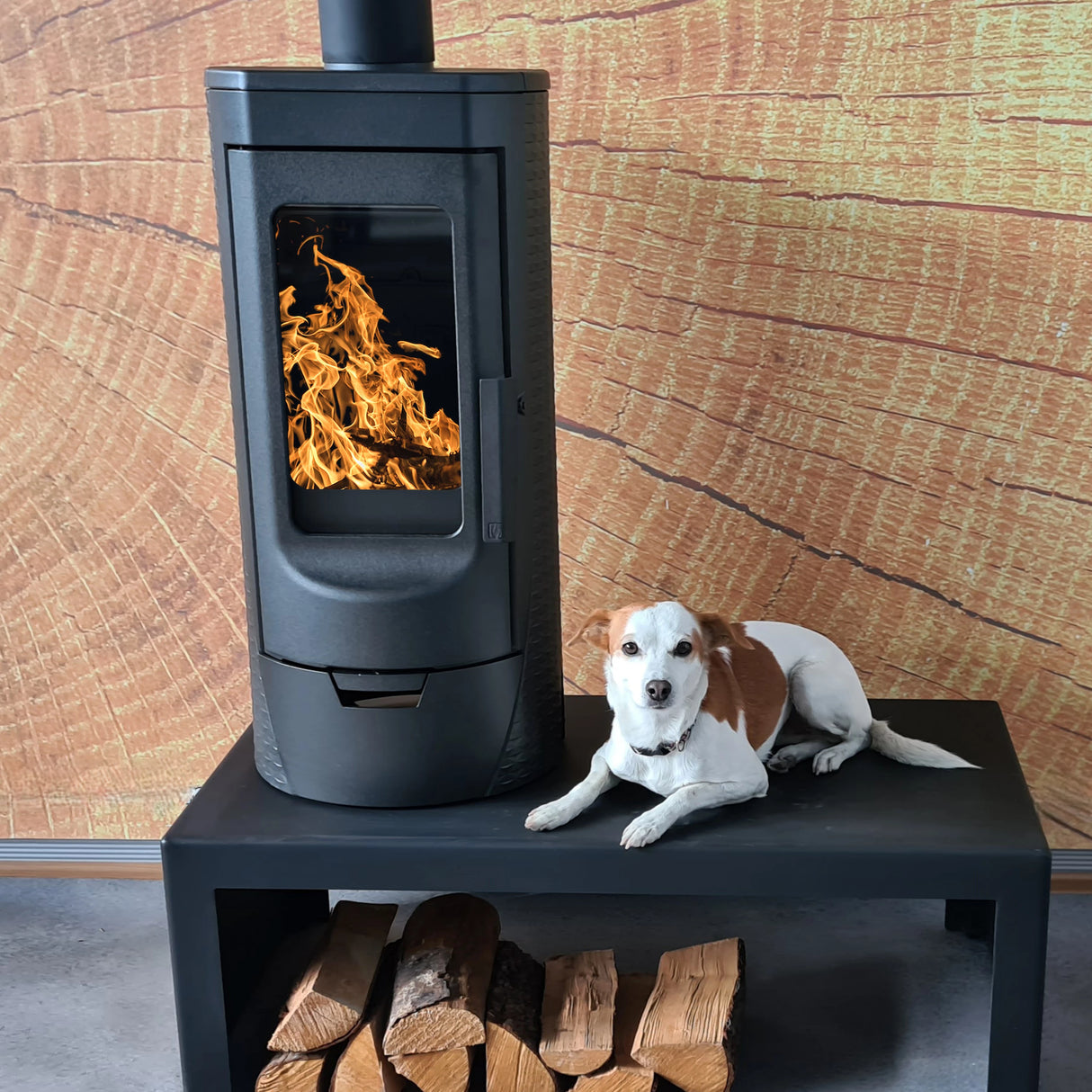 Cheminée design en fonte Plamen Tara – indépendante de l'air ambiant