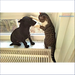 Hund und Katze interagieren auf einem Fenstersims neben Pelletkessel Defro Komfort Ekopell 25 kW